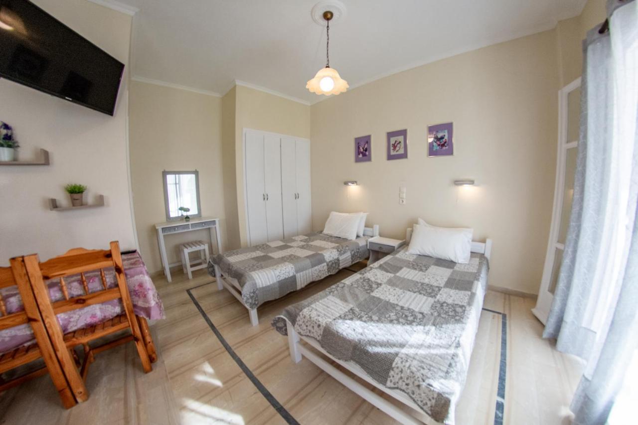 Eleonas Holiday Home Apartment Agios Stefanos Avliotes  Exteriér fotografie